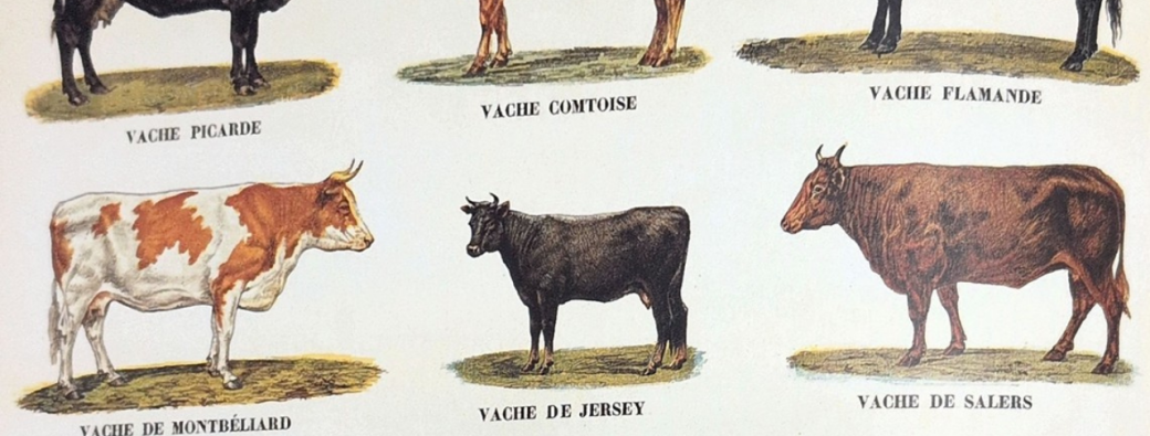 Entrée + Conférence en famille "dans les sabots d'Armen"