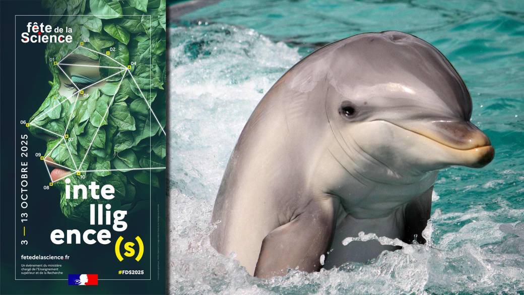 Conférence FDS : Quand les animaux prennent la parole !