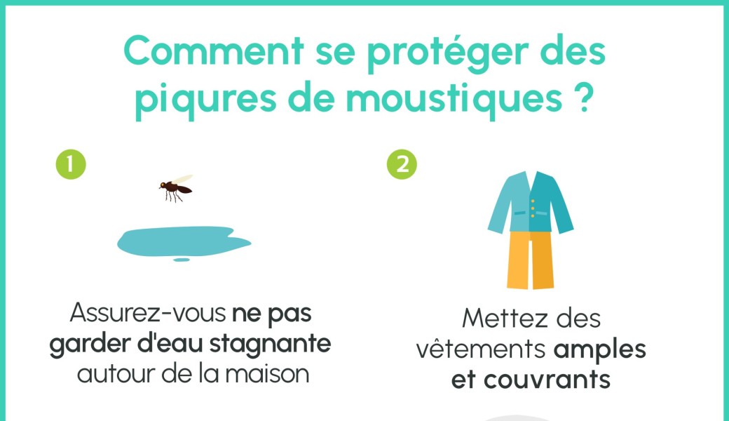 Conférence Frelons asiatiques / Moustiques à HEM