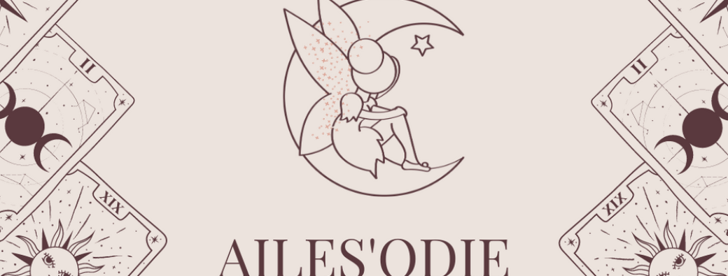 conférence Isabelle Cerf " shadow work" ( organisation Ailesodiezen)