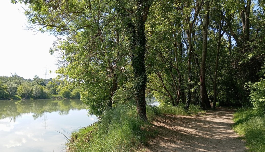 Conférence : la biodiversité ordinaire du bord du Rhône