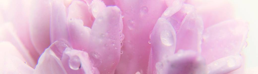 Conférence:la naturopathie ,c'est quoi