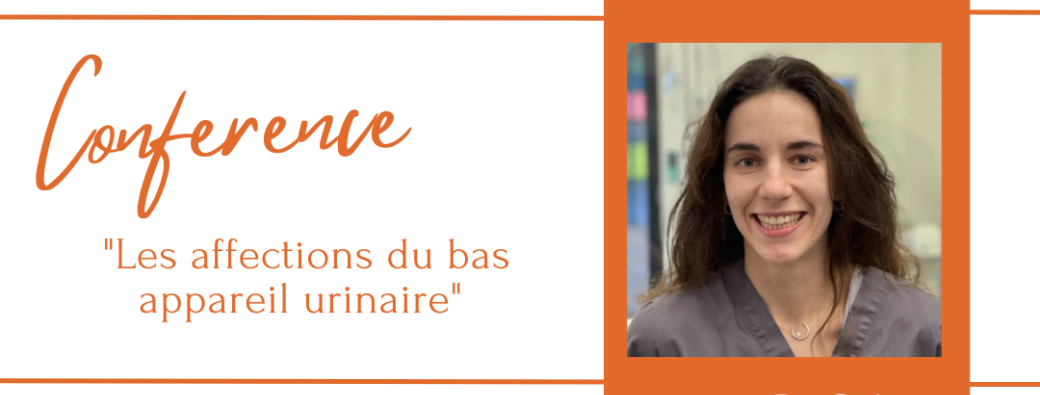Conférence : "Les affections du bas appareil urinaire"
