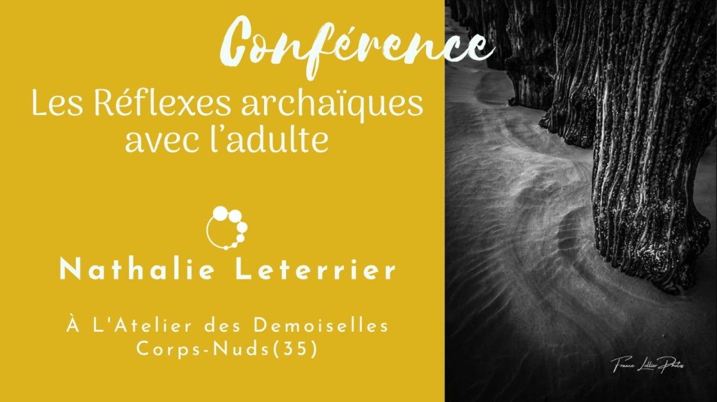 Conférence "Les réflexes archaïques avec l'adulte"