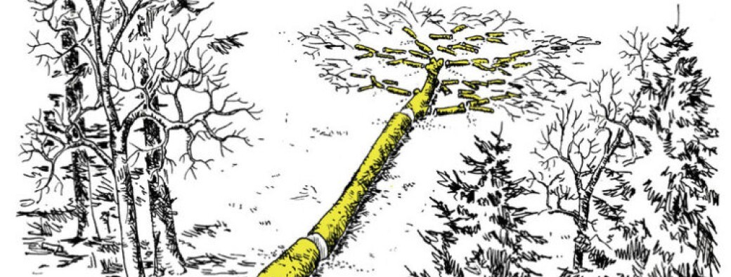 Conférence Mathias Bonneau