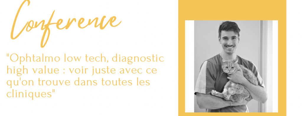 Conférence : "Ophtalmo low tech, diagnostic high value "