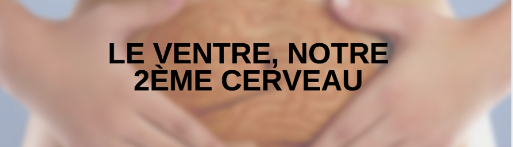 Conférence-Santé à BORDEAUX : le ventre, notre 2 ème cerveau