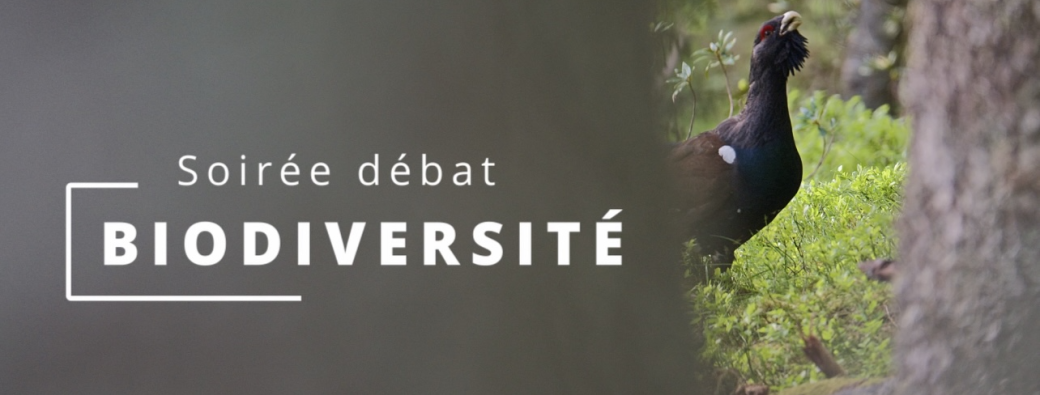 Conférence sur la biodiversité des Pyrénées