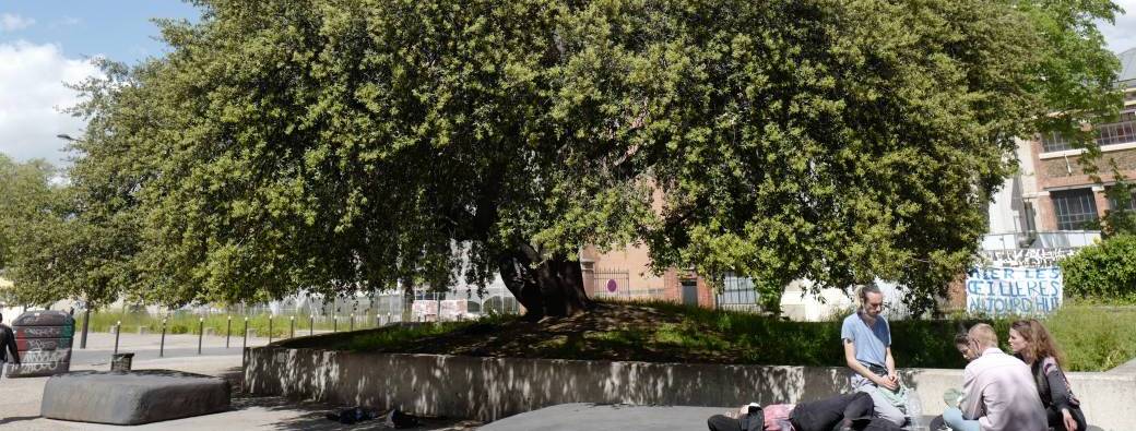 Conférence Véronique Mure