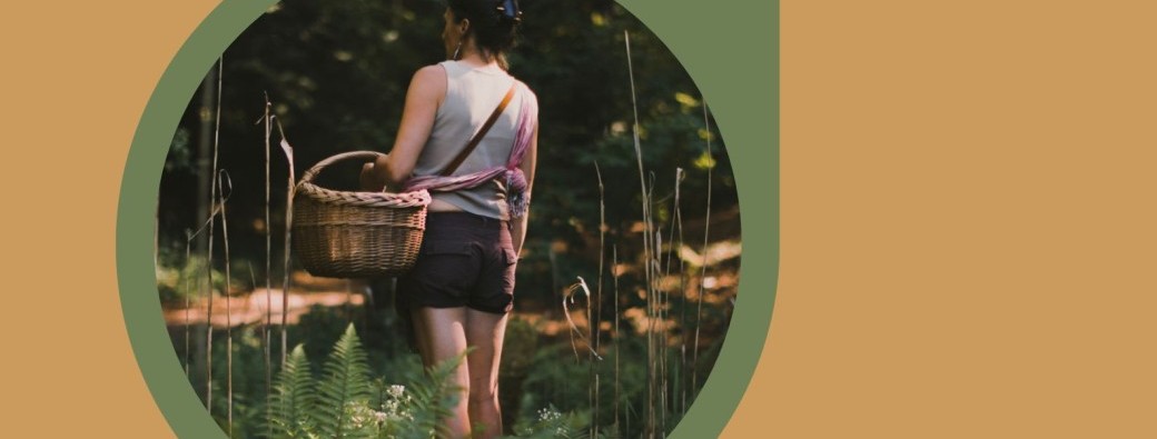 Conférence Vivre au quotidien avec les plantes sauvages médicinales et comestibles.