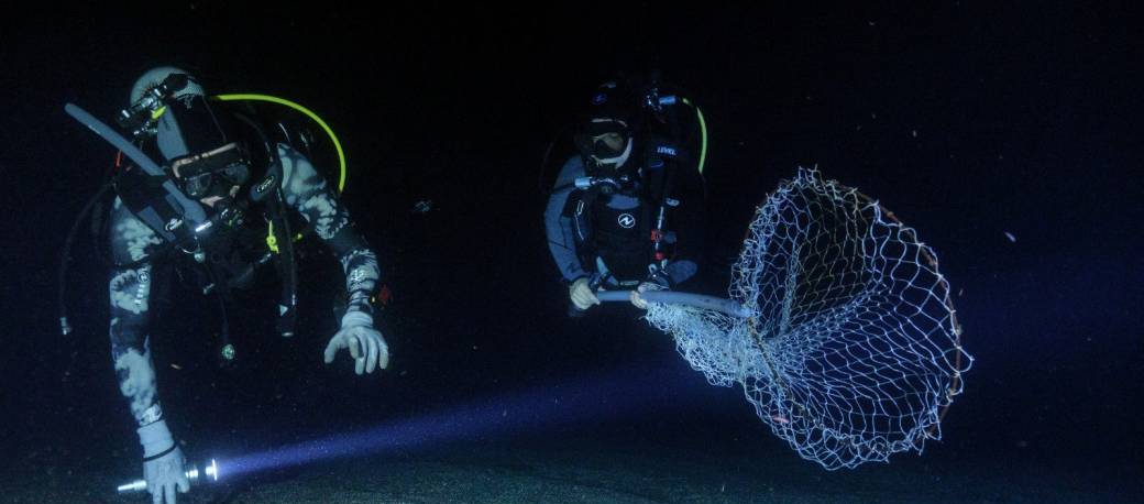 Connaissance et conservation de la biodiversité méditerranéenne côtière