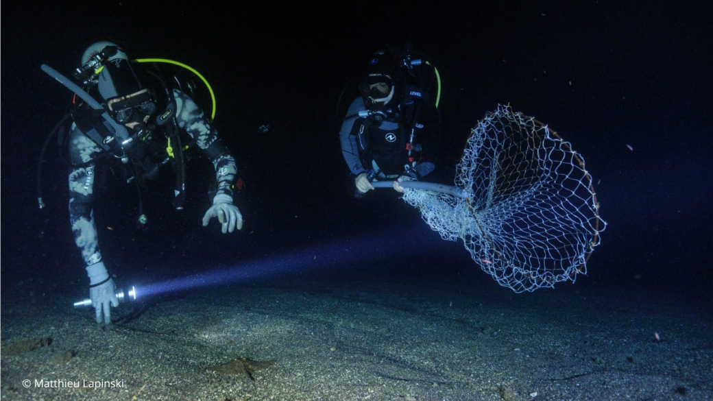 Connaissance et conservation de la biodiversité méditerranéenne côtière
