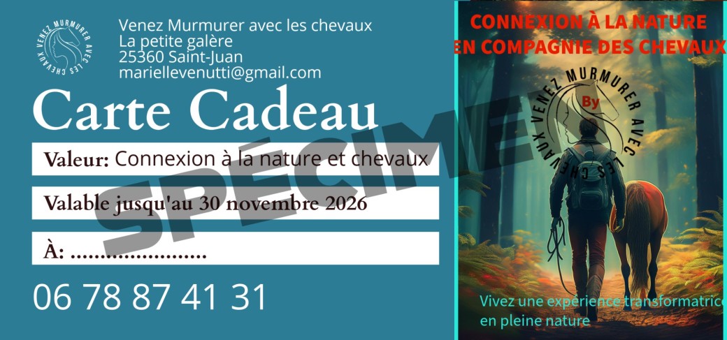 Connexion à la nature avec les chevaux 