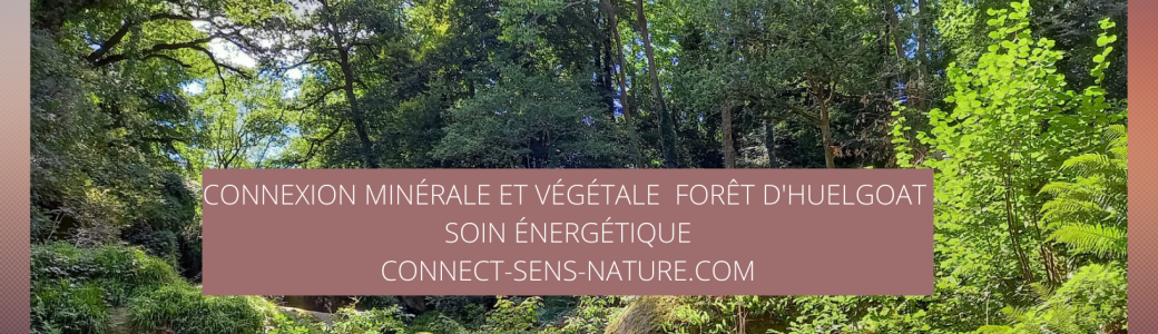 Connexion énergétique Forêt d'Huelgoat