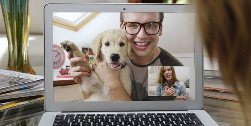 conseils canins à distance