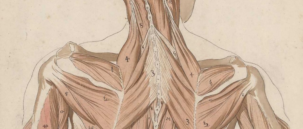 Consolidation des techniques de massage