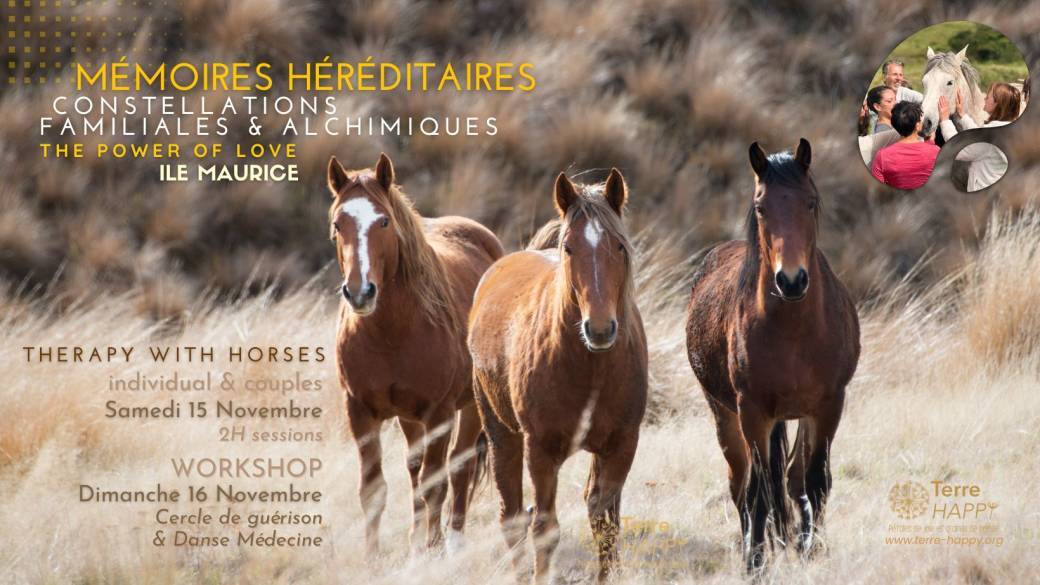 Thérapie familiale & Relationnelle avec Chevaux