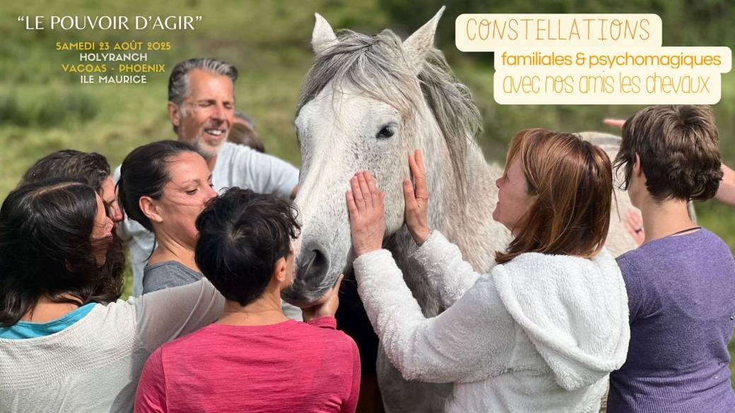 Constellations Familiales & Psychomagiques avec Chevaux
