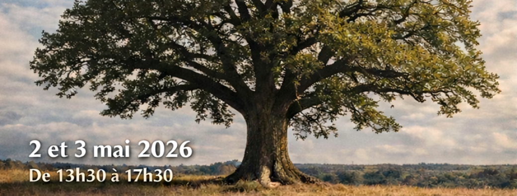 Constellations familiales