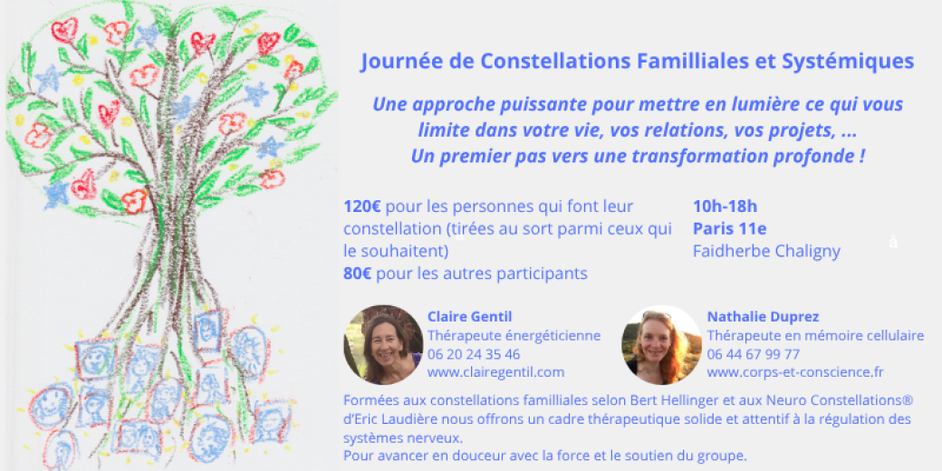 Constellations Familiales et Systémiques