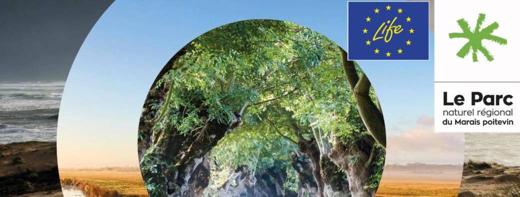 Construire bas carbone : agir ensemble pour nos territoires