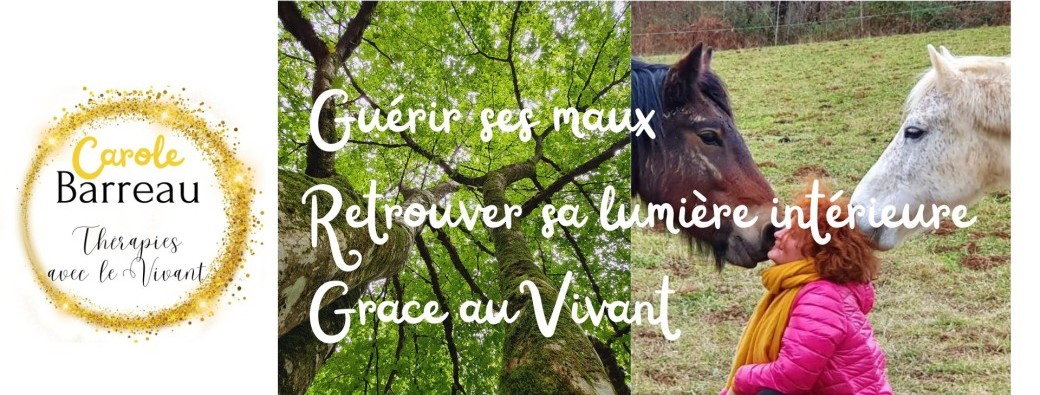 Consultation individuelle 1H