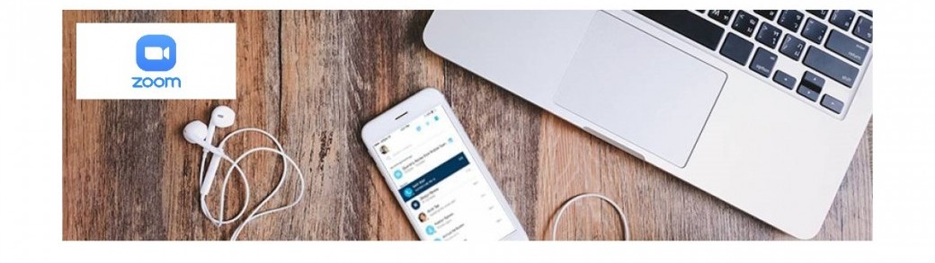 Consultation individuelle par vidéoconférence Consultation individuelle par vidéoconférence