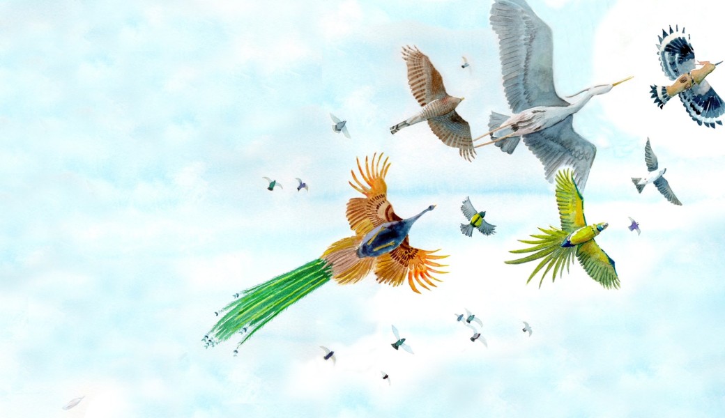 Conte musical persan "L'envol des oiseaux"