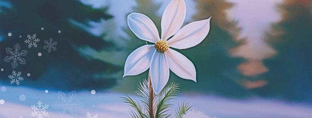 CONTES D’HIVER
