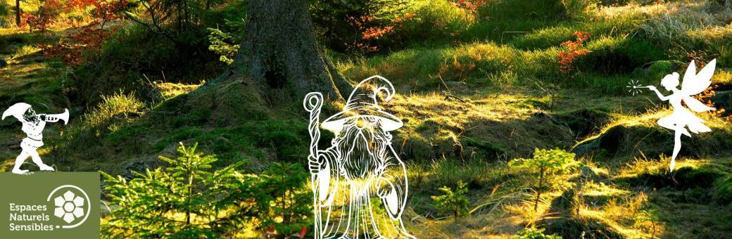 Contes et légendes des bois