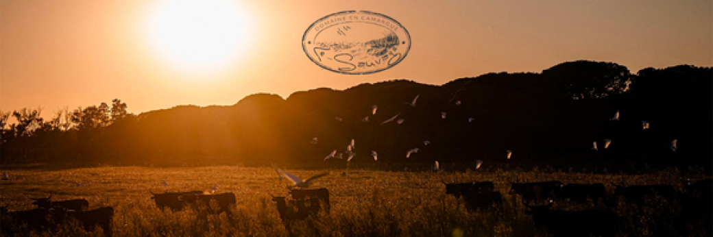 Convention 2026 - Diner du dimanche 14/06