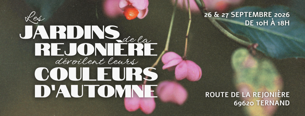 Couleurs d'Automne