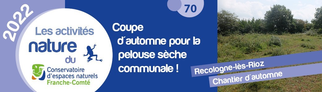 Coupe d'automne pour la pelouse sèche communale !