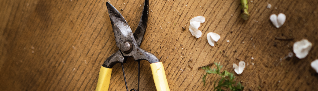 Couronne de Noël 2025 