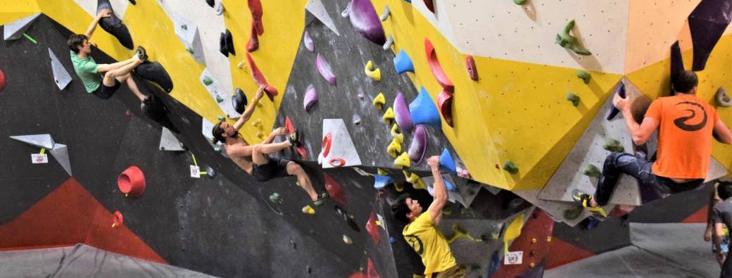 Cours Adultes "Avancé"