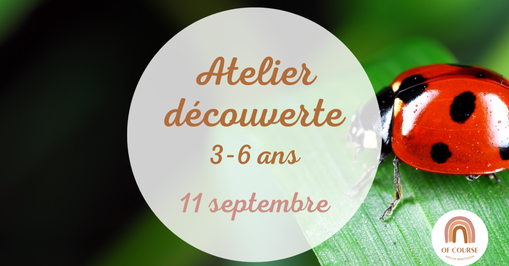 Cours d'anglais à Nantes : Atelier découverte 3-6 ans Of Course Montessori