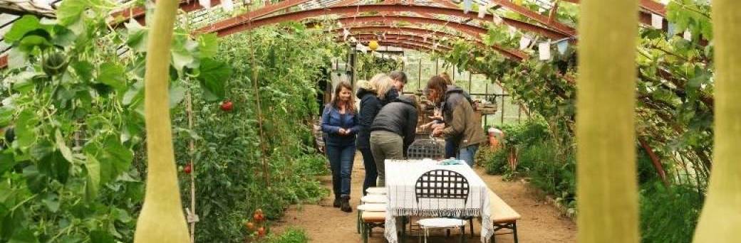 Cours découverte – Formation Jardin Nourricier