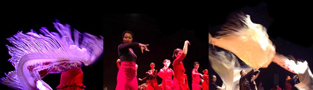 Cours d'essai danse flamenco adultes/adolescents rentrée 2024