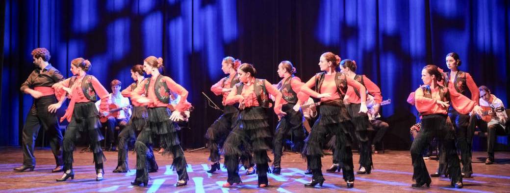 Cours d'essai flamenco intermédiaire 1/2 rentrée 2025-2026