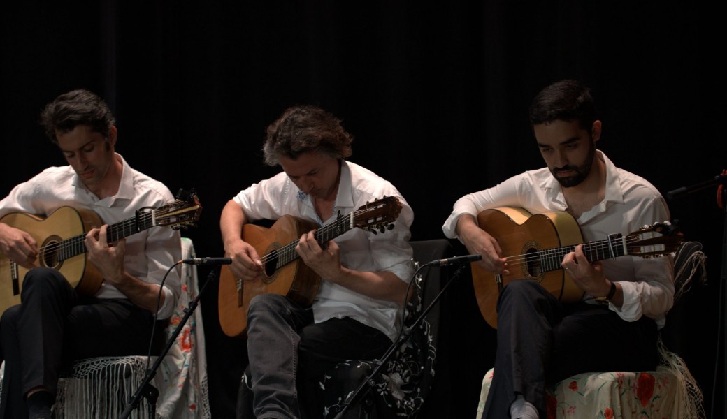 Cours d'essai guitare flamenca 2019-2020