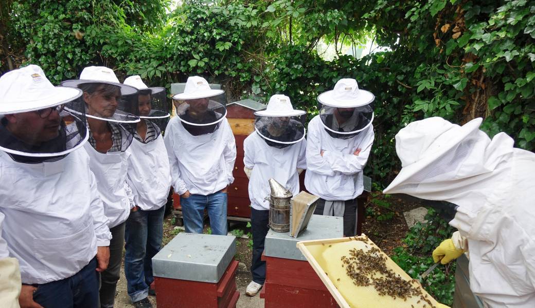 Cours d'initiation à l'apiculture à Zone Sensible