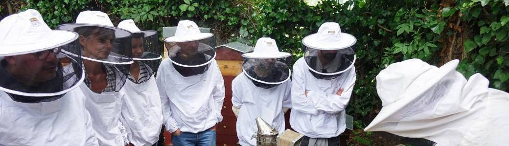 COURS D'INITIATION À L'APICULTURE
