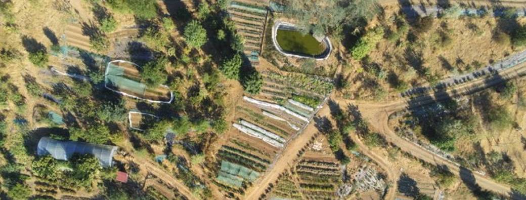 Cours d'introduction à la Permaculture