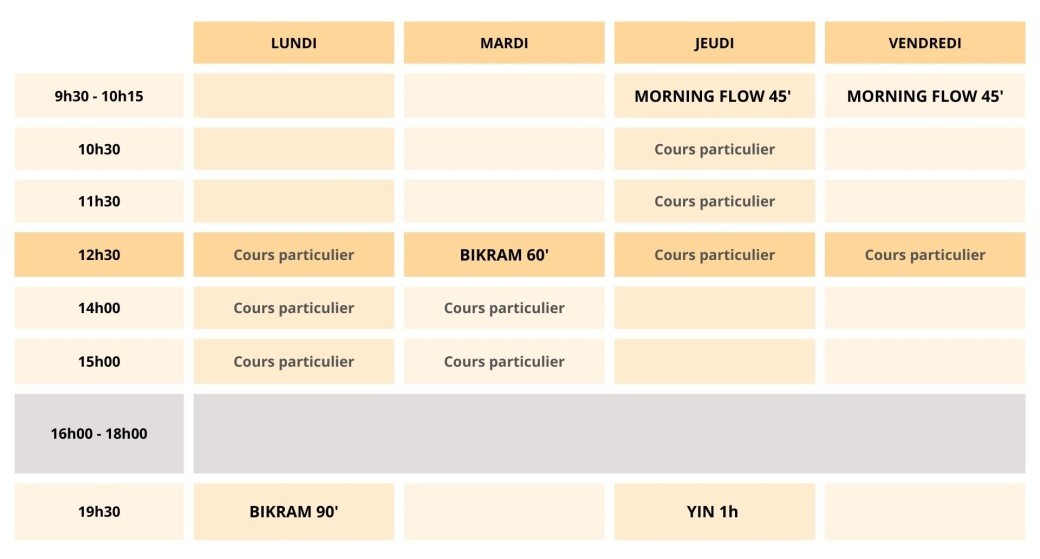 Cours privé en visio x10 379€