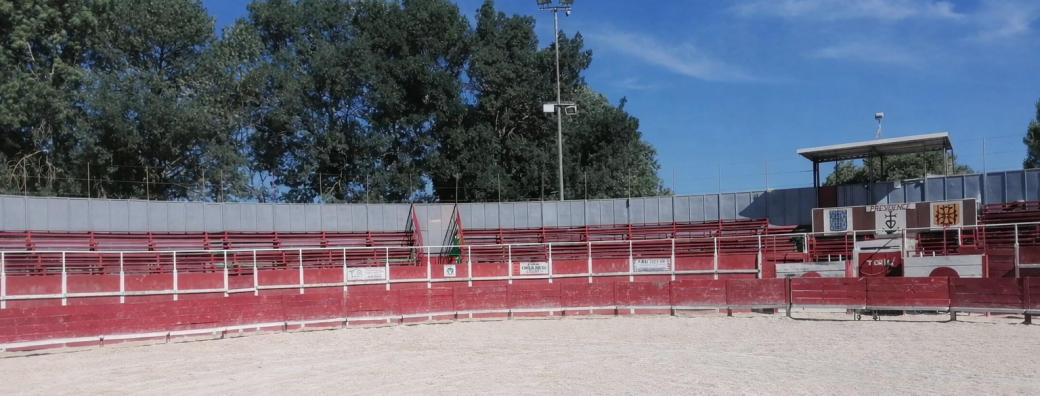 COURSE DE PRÉ-SÉLECTION DE VACHES COCARDIÈRES MERCREDI 22 AVRIL À 15H