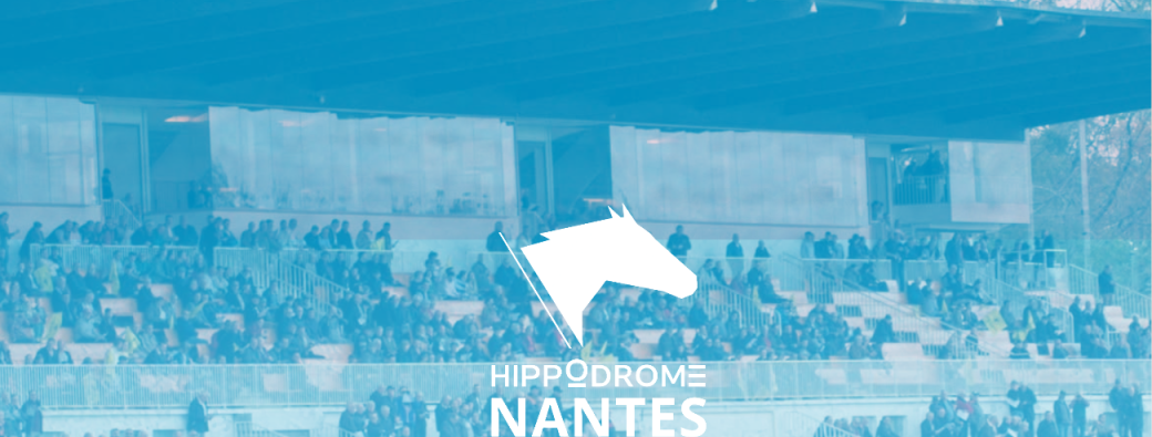 Courses hippiques 01/06