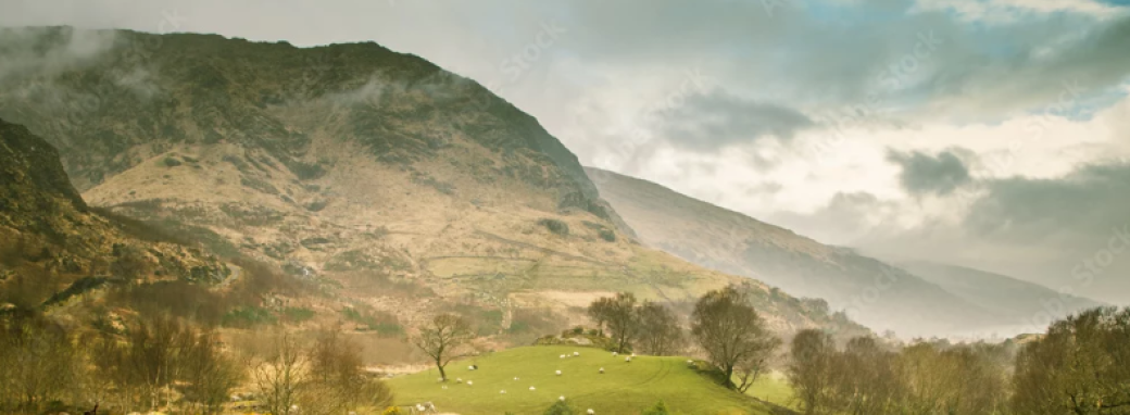 "Craig Agus Ceol" Saint Patrick