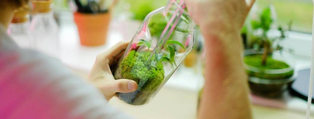Creation de votre propre Terrarium