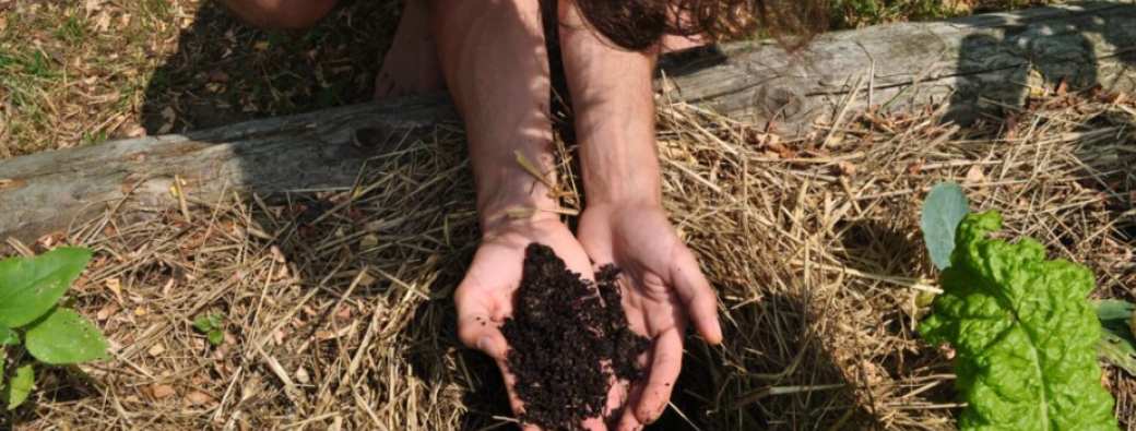 Création et gestion écologique d'un potager - Atelier 