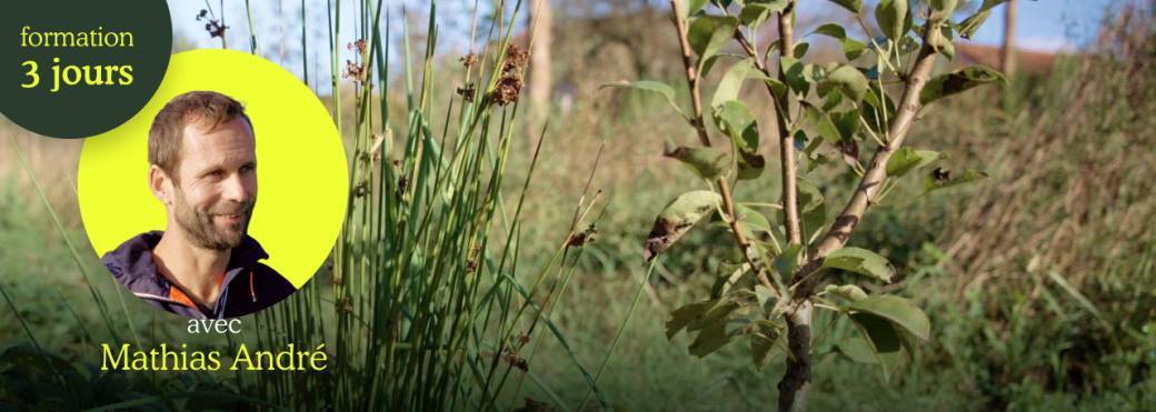 Créer et installer un verger naturel (Arboriculture fruitière) - Le Bosc-du-Theil (SP01-2024-19)